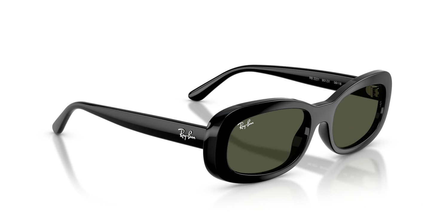 Ray-Ban RB2221 901/31