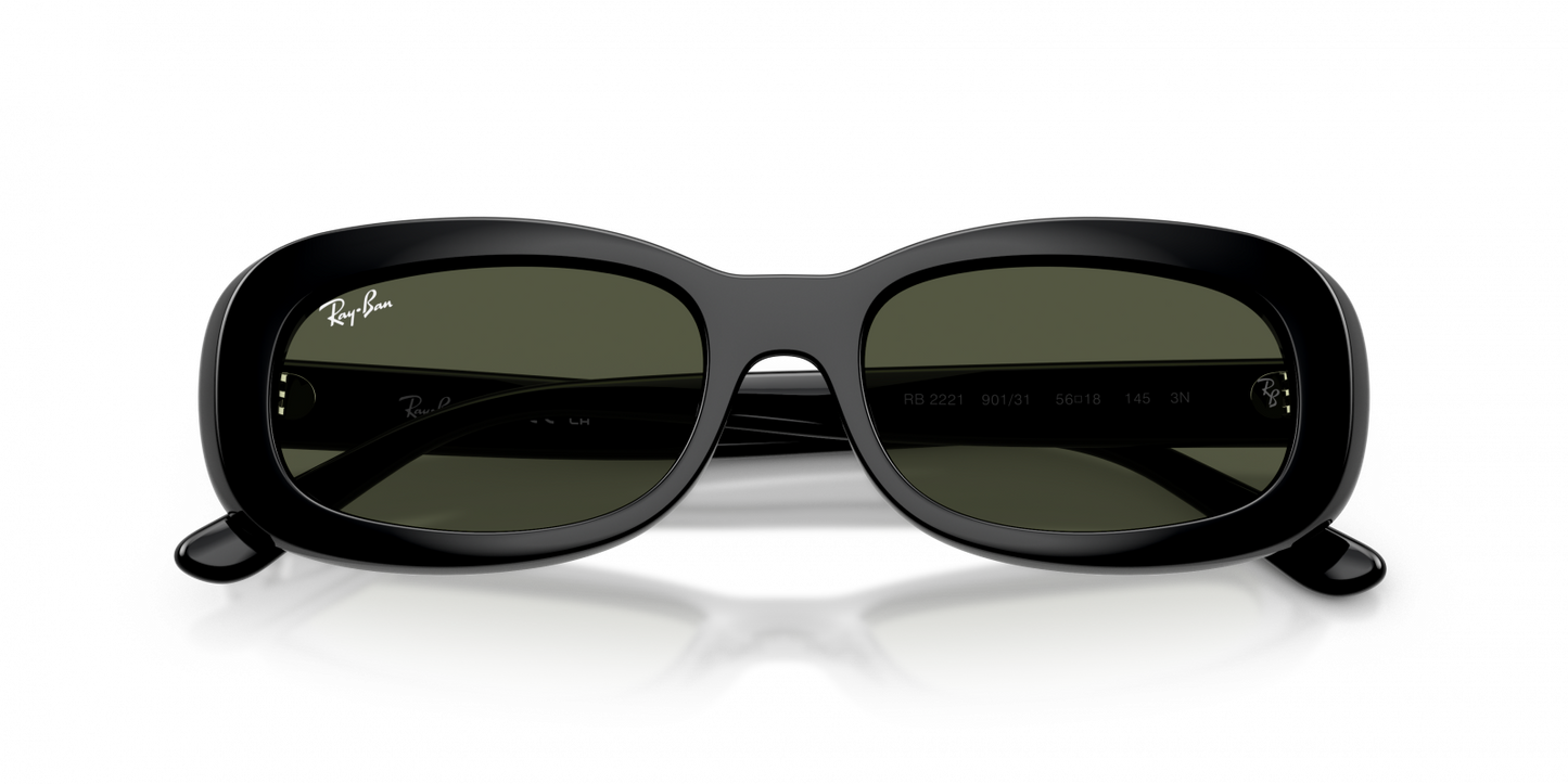 Ray-Ban RB2221 901/31