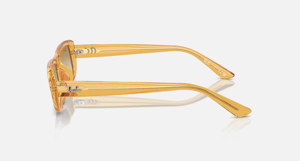 Ray-Ban RB4436D 668213 Lifestyle