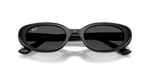 Ray-Ban RB4441D 667787 - Detaliu 4