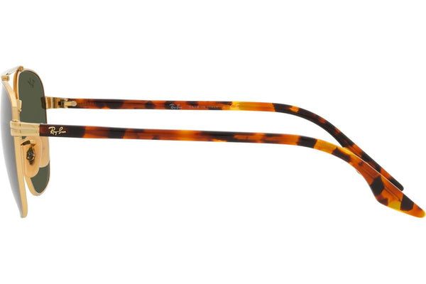 Ray-Ban RB3688 001/31 Lifestyle
