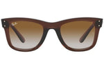 Ray-Ban Wayfarer Reverse RBR0502S 6709CB - Detaliu 3