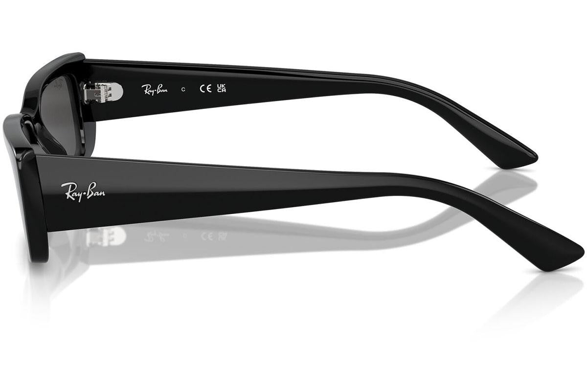Ray-Ban Teru RB4425 667787