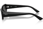 Ray-Ban Teru RB4425 667787 - Detaliu 2