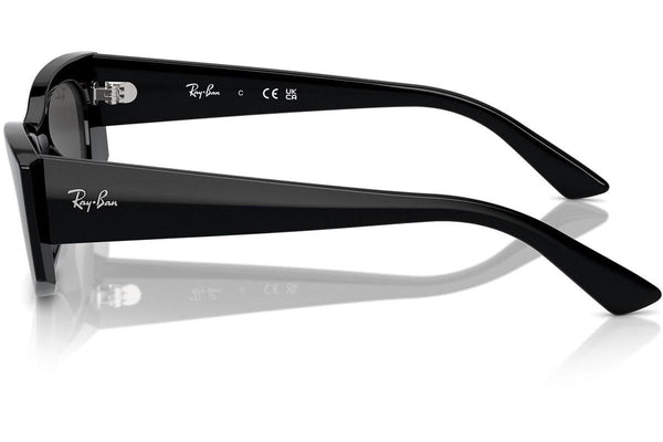 Ray-Ban Kat RB4427 667787 Lifestyle