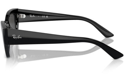 Ray-Ban Zena RB4430 667787 Lifestyle