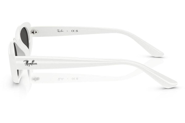 Ray-Ban RB4441D 677287 Lifestyle