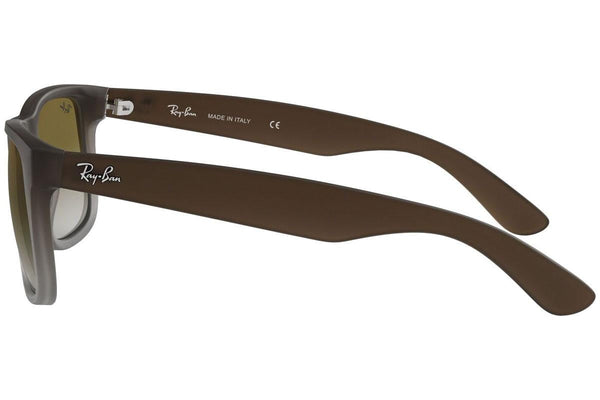 Ray-Ban Justin Classic RB4165 854/7Z Lifestyle