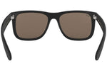 Ray-Ban Justin Color Mix RB4165 622/5A - Detaliu 4