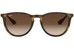 Ray-Ban Erika Classic Havana Collection RB4171 865/13 - Detaliu 3