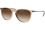 Ray-Ban Erika RB4171 651413 - Detaliu 1