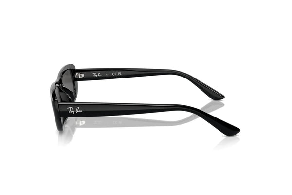 Ray-Ban RB4436D 667787 Lifestyle
