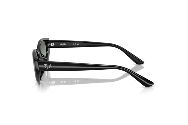 Ray-Ban RB4457D 667711 Lifestyle