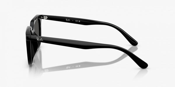 Ray-Ban RB4439D 901/87 Lifestyle