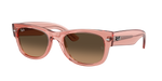 Ray-Ban Mega Wayfarer 2 RB0832S 6848/43 - Detaliu 1