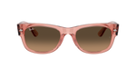 Ray-Ban Mega Wayfarer 2 RB0832S 6848/43 - Detaliu 5
