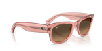 Ray-Ban Mega Wayfarer 2 RB0832S 6848/43 - Detaliu 2