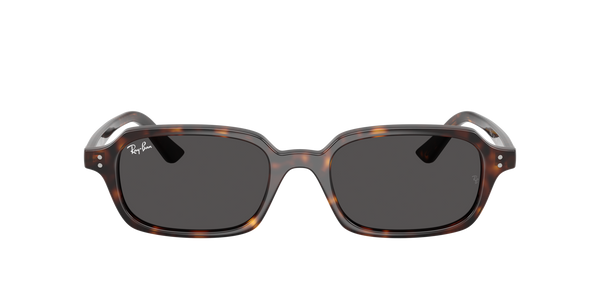 Ray-Ban Zuri RB4455 1359/87 Lifestyle