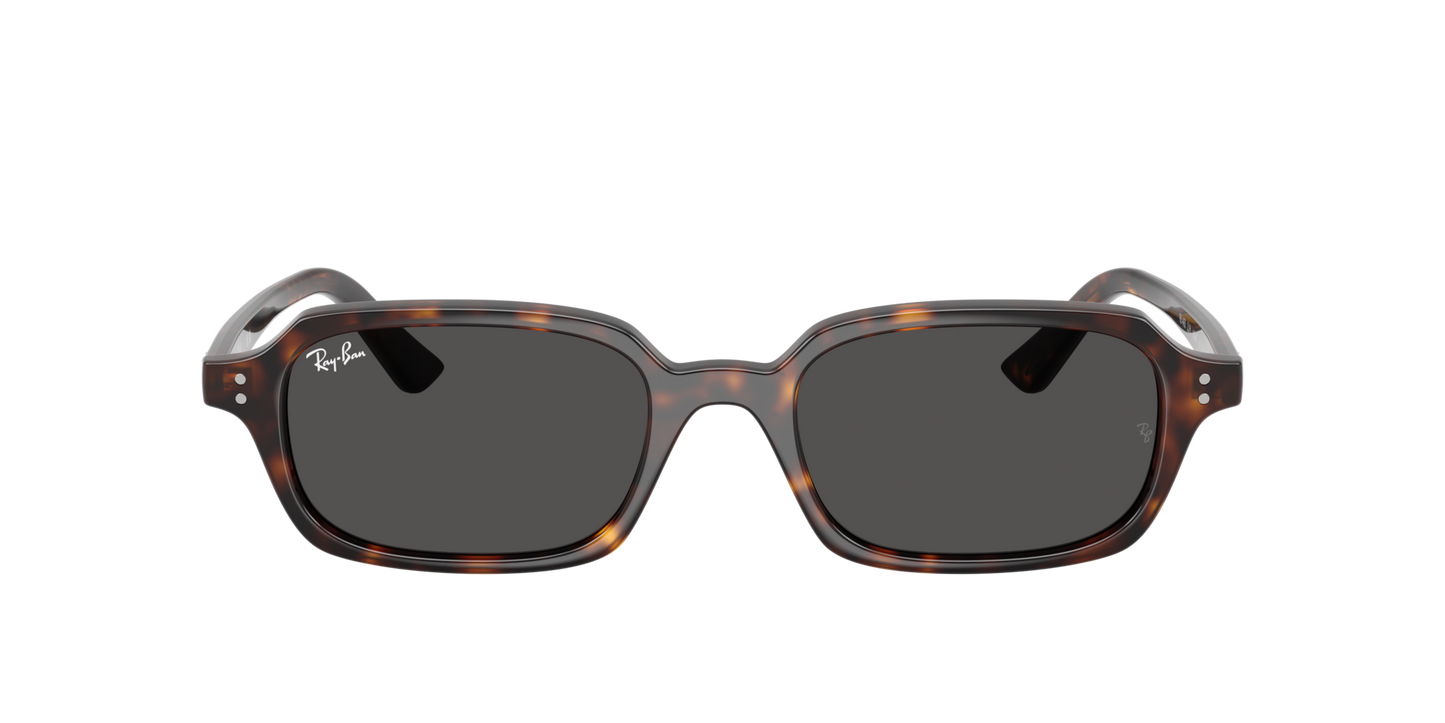 Ray-Ban Zuri RB4455 1359/87